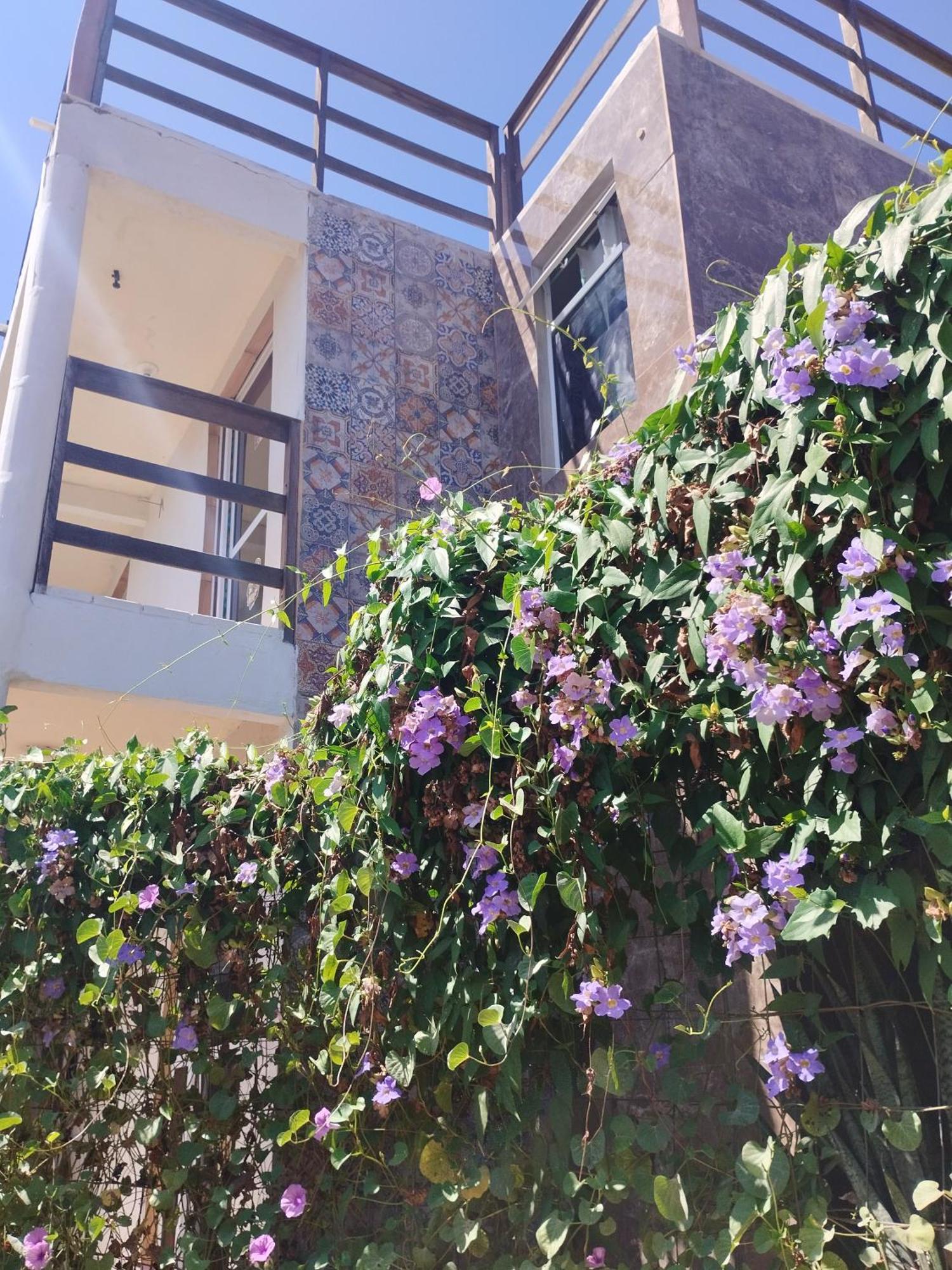 Seomarujo Rent A Room Morro Branco Беберібі Екстер'єр фото